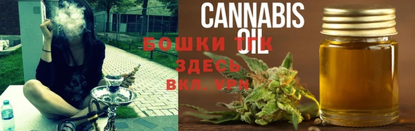 хмурый Богородицк