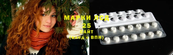хмурый Богородицк