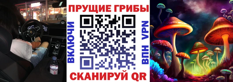 где купить   Велиж  Галлюциногенные грибы MAGIC MUSHROOMS 